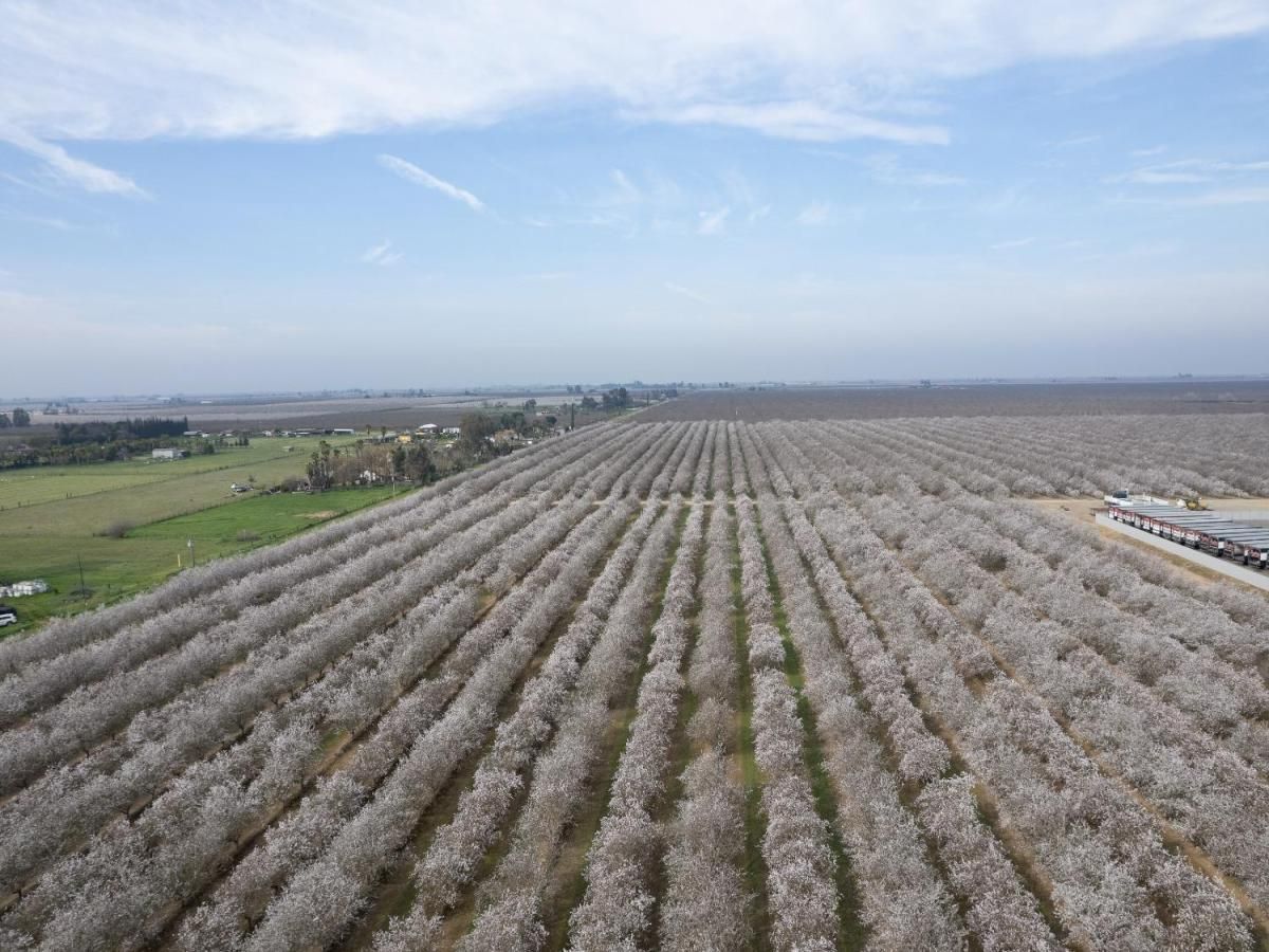 MLS #625974 image #0