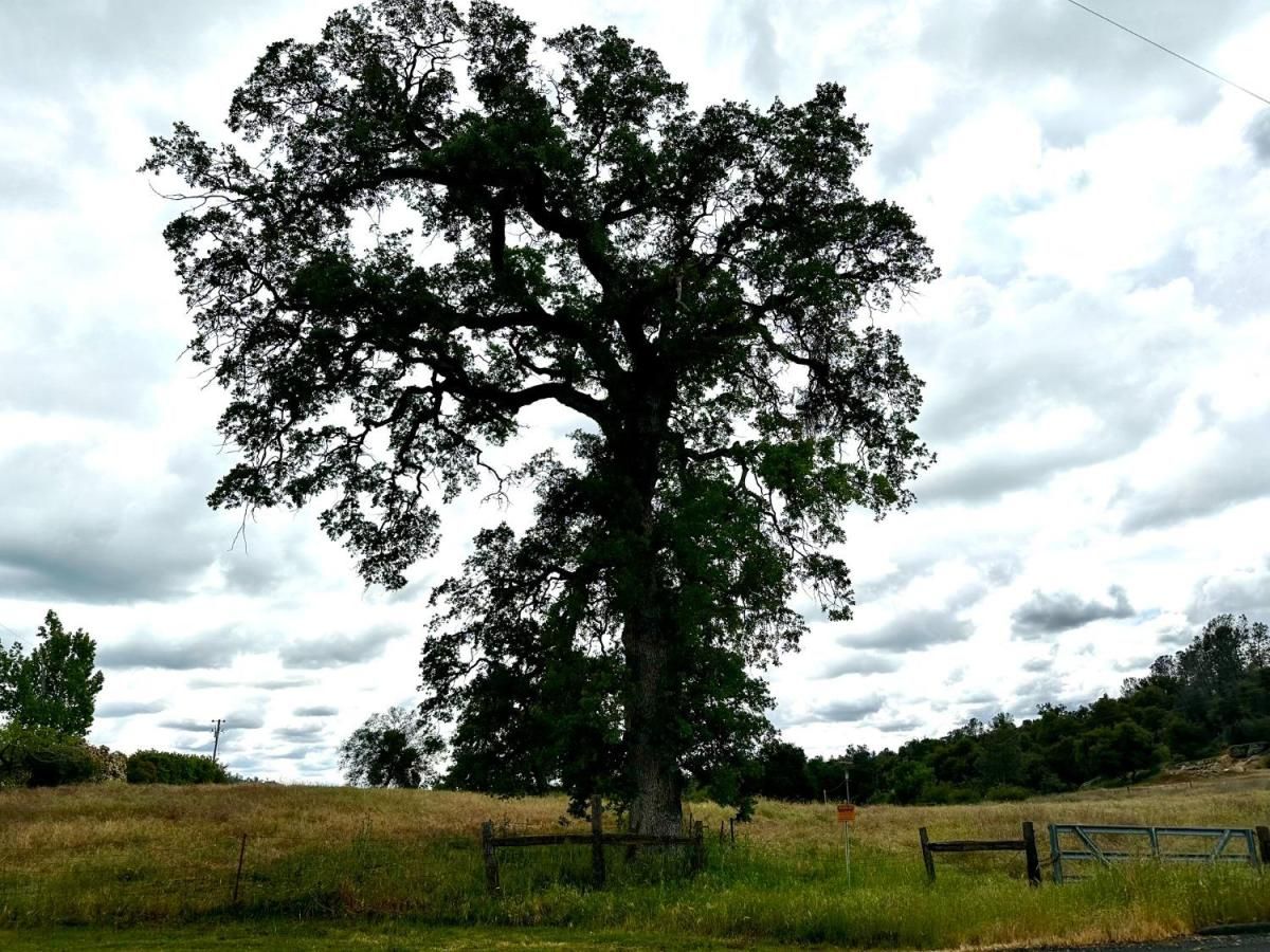 MLS #629346 image #0