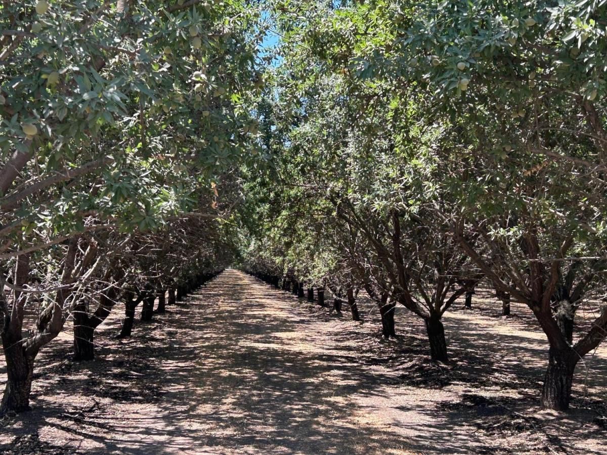 MLS #632885 image #0