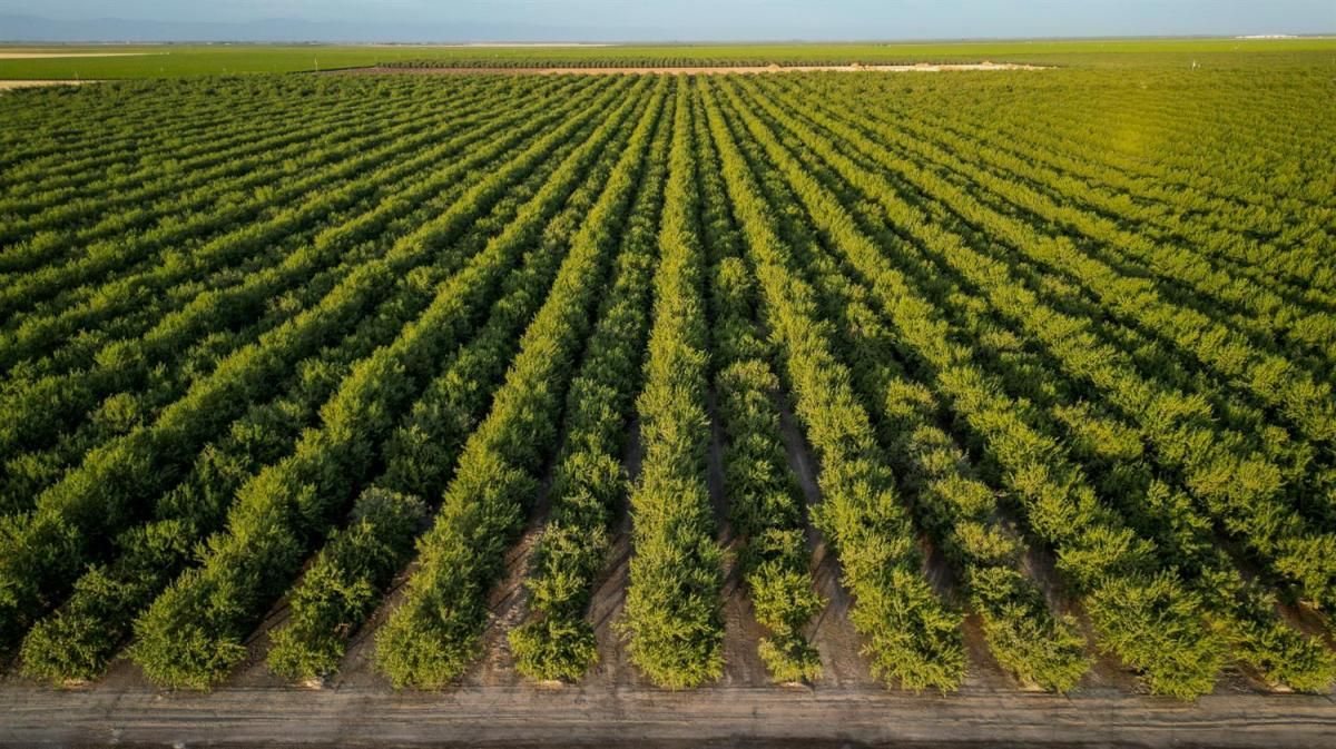 MLS #633384 image #0