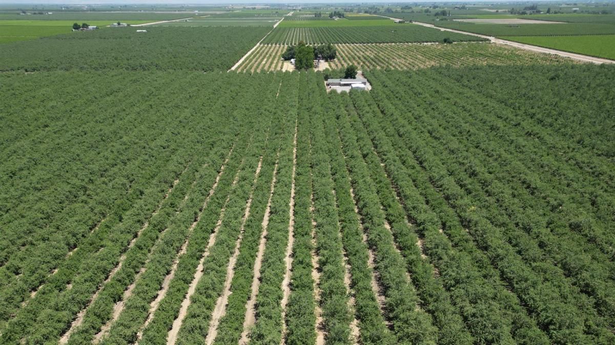 MLS #633498 image #0