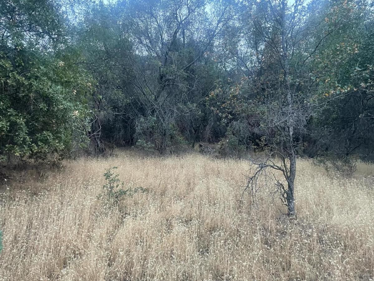 MLS #633714 image #0