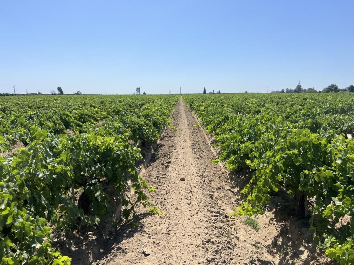 MLS #634101 image #0