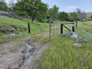 broker reciprocity