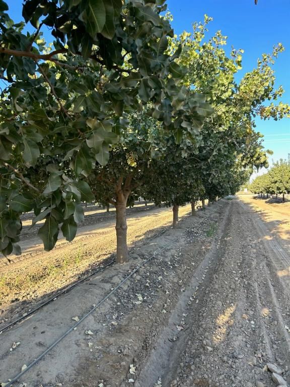 MLS #637597 image #0