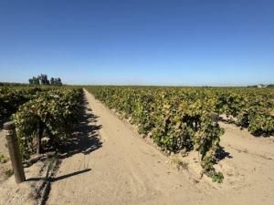 MLS #638093 image #0