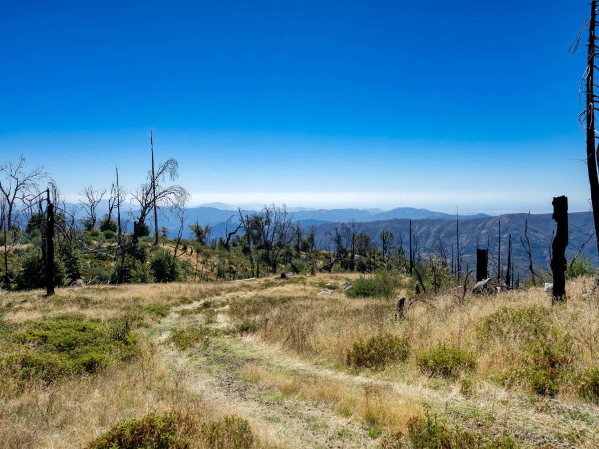 MLS #638316 image #0