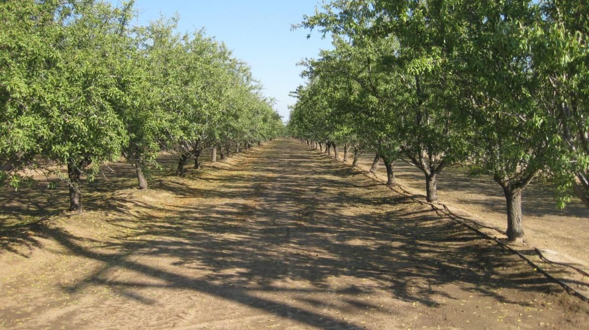 MLS #638674 image #0