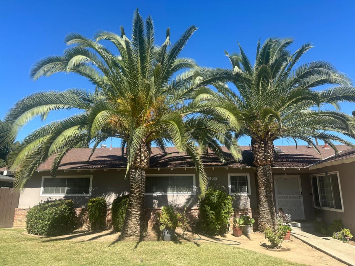 MLS #638721 image #0