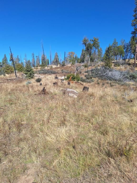 MLS #638757 image #0