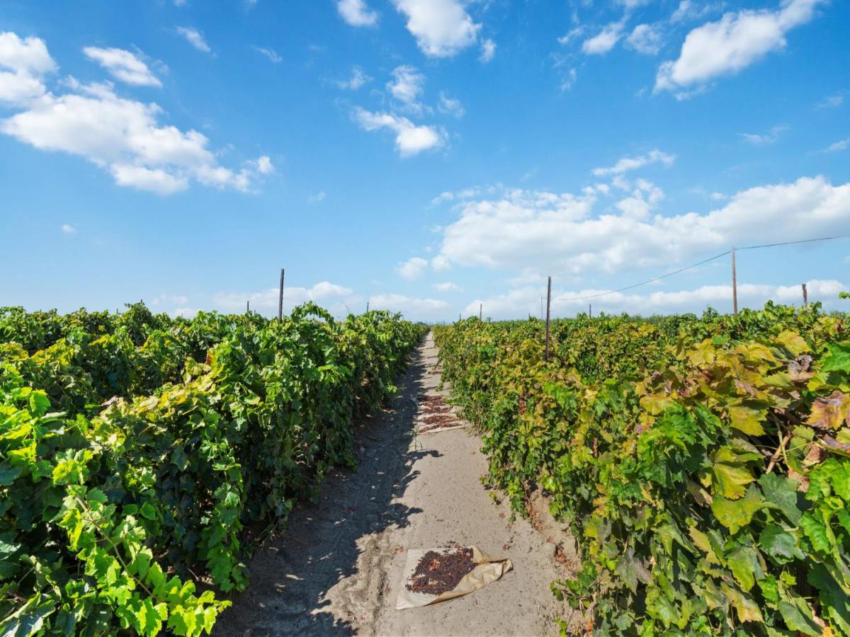 MLS #639261 image #0