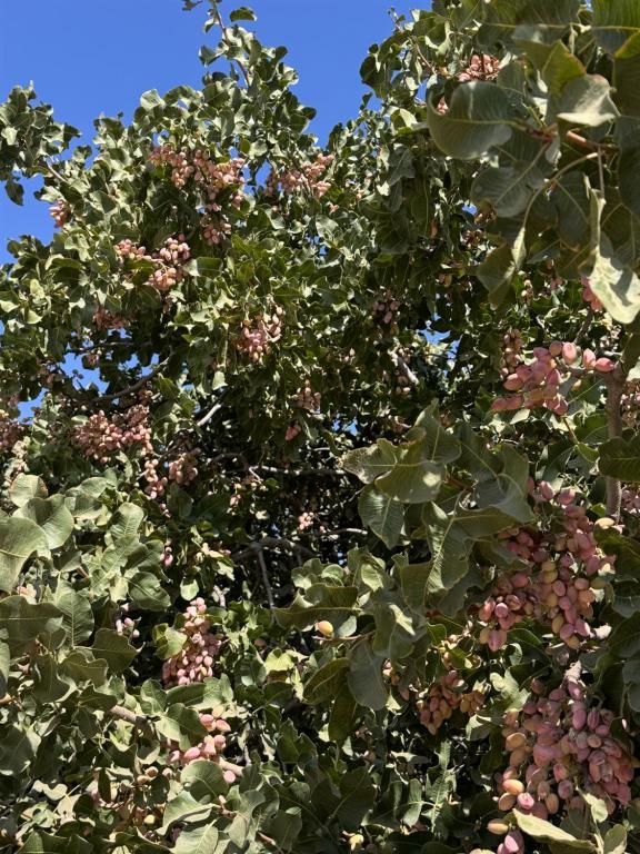 MLS #639385 image #0