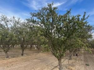 MLS #639881 image #0