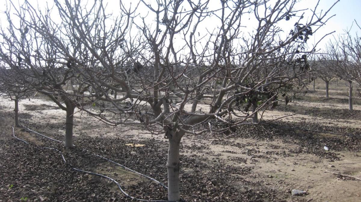 MLS #640322 image #0