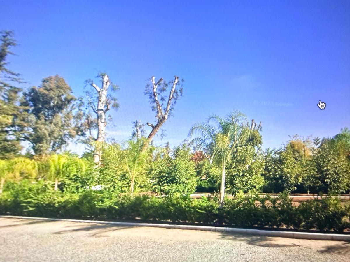 MLS #642500 image #0