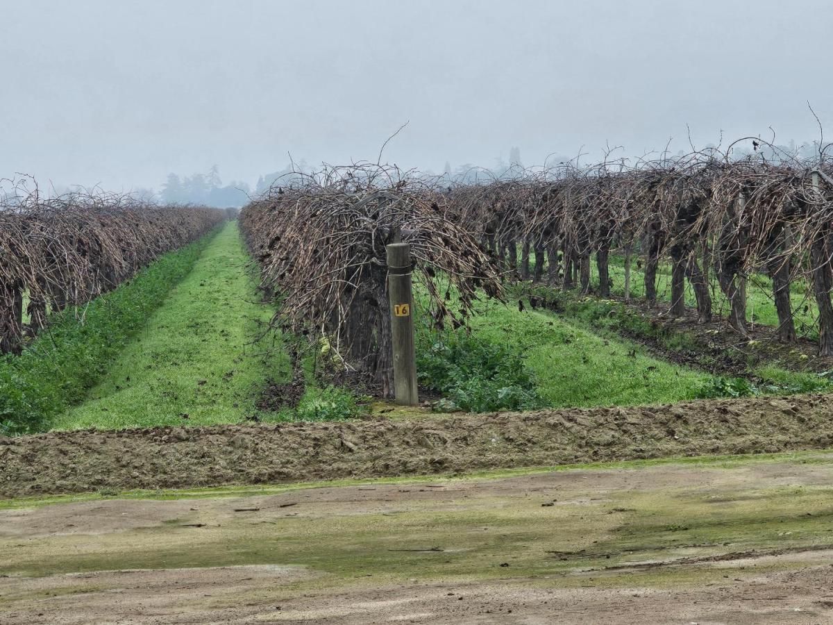 MLS #642684 image #0