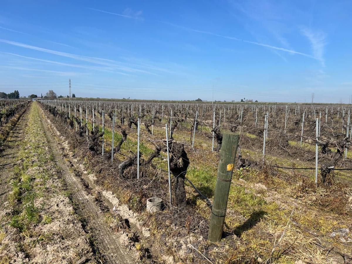 MLS #644862 image #0
