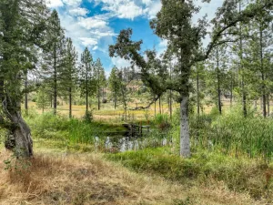 broker reciprocity