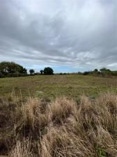 MLS #F10431079 image #0