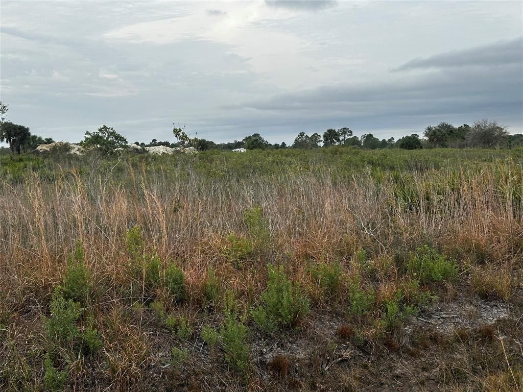 MLS #F10462855 image #0