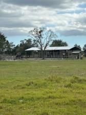 MLS #F10484444 image #0