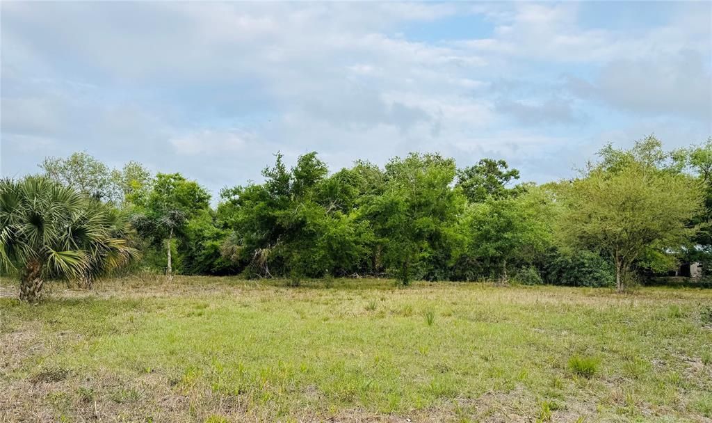 MLS #F10490991 image #0