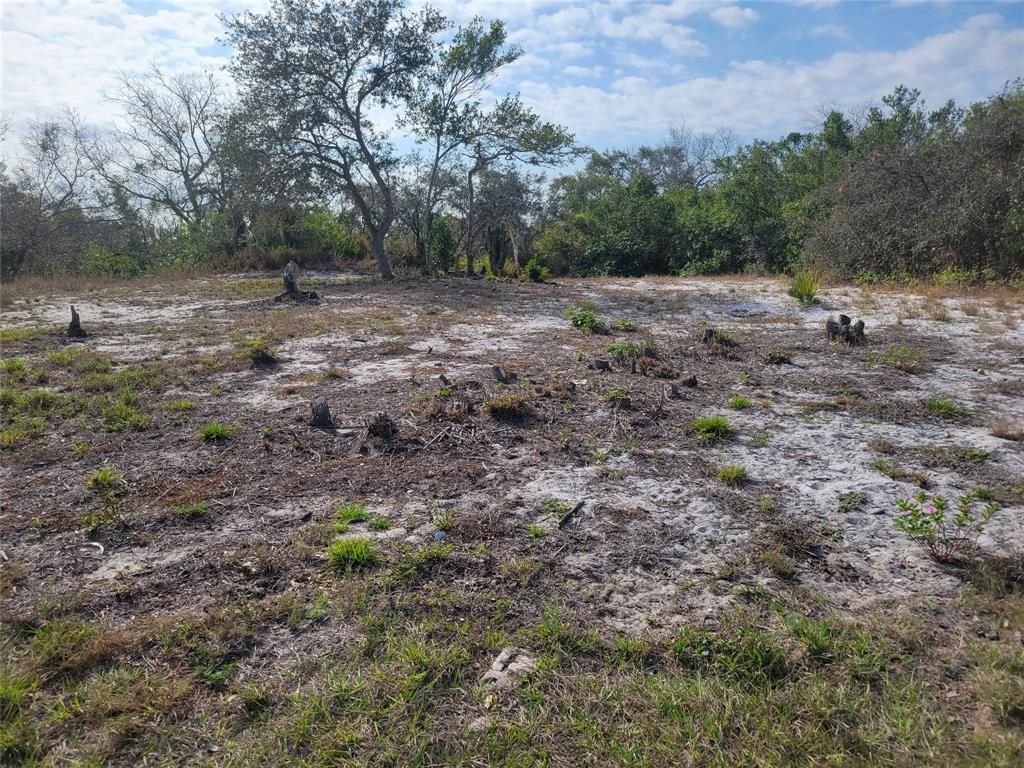 MLS #F10491332 image #0