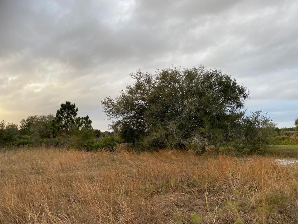 MLS #F10498706 image #0