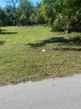 MLS #F10505262 image #0