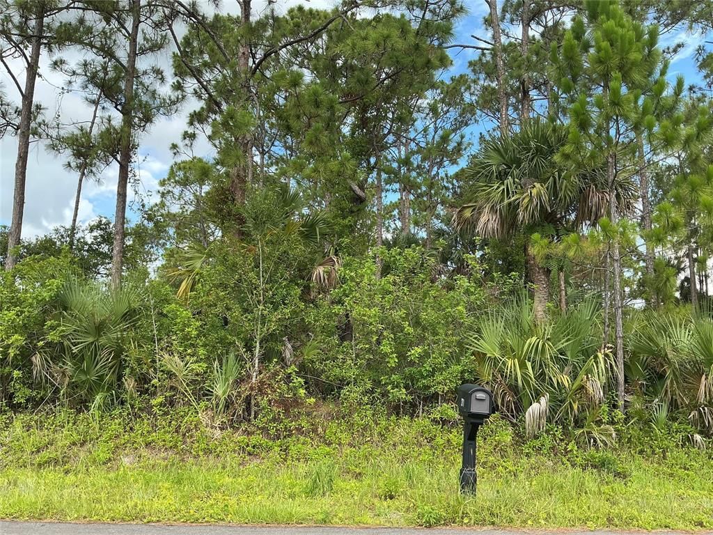 MLS #F10519340 image #0