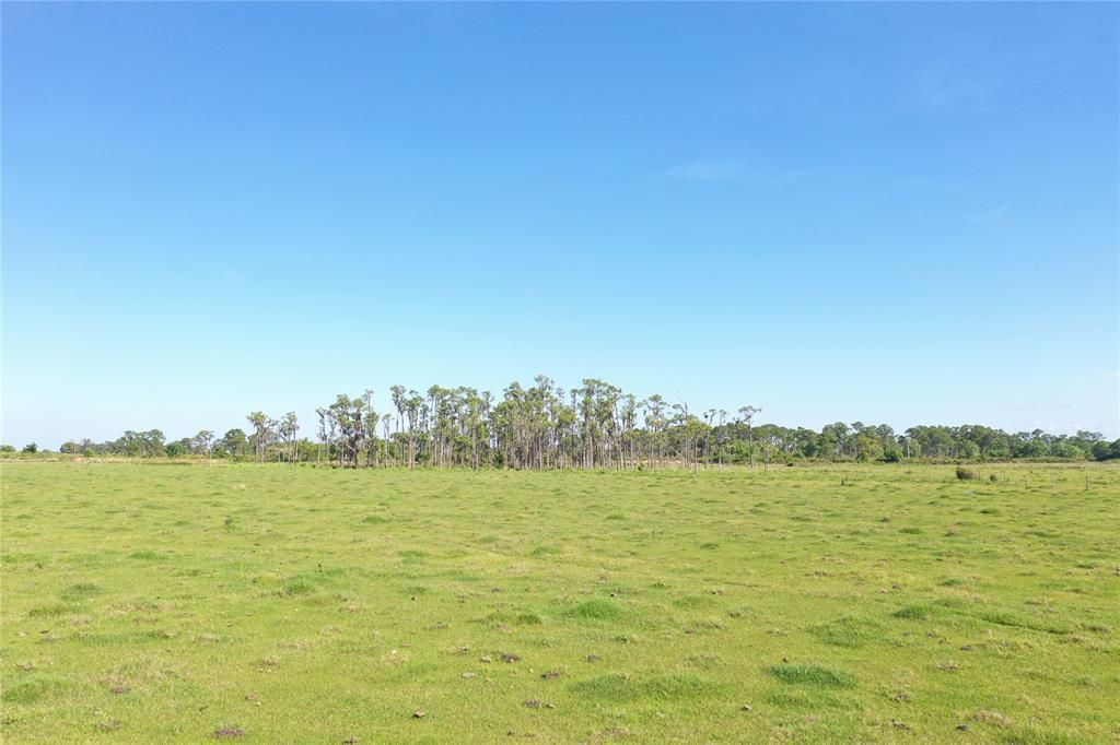 MLS #F10519818 image #0