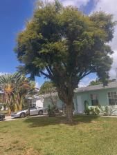 MLS #F10519956 image #0