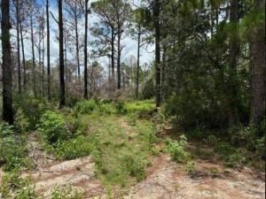 MLS #F10520286 image #0