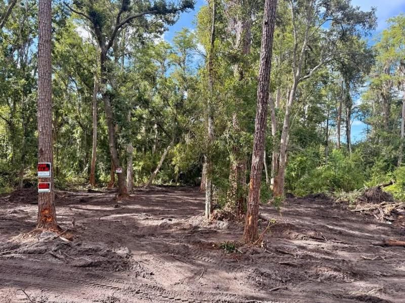 MLS #F10520476 image #0