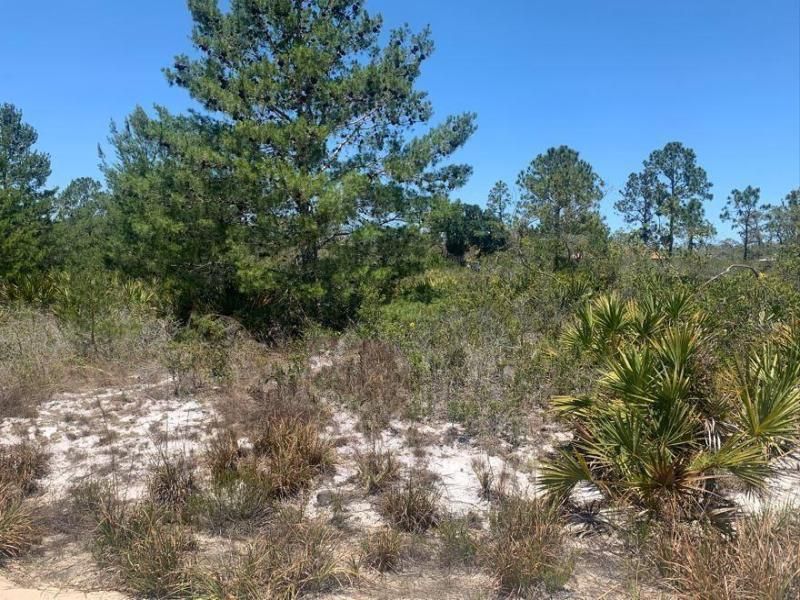 MLS #F10520704 image #0