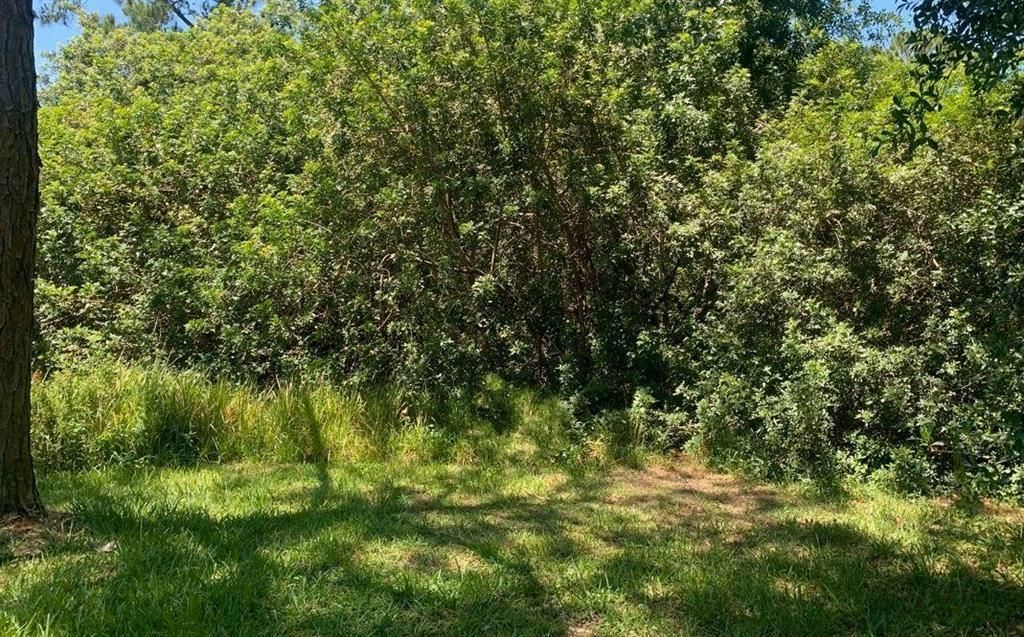 MLS #F10520712 image #0