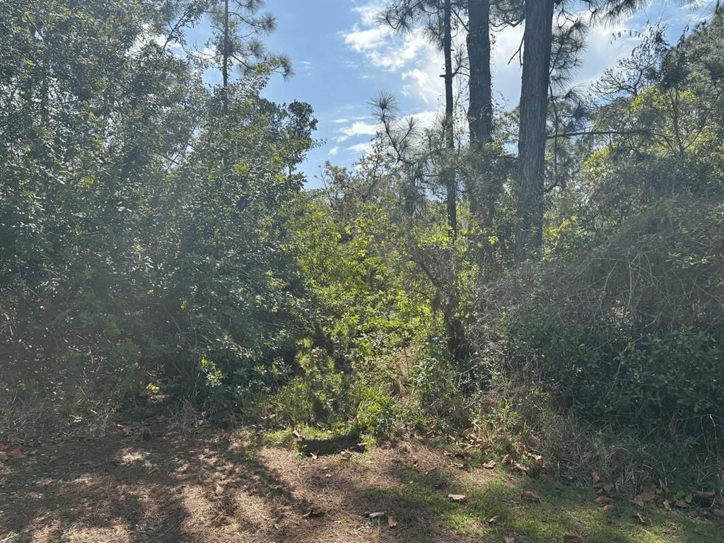 MLS #F10520729 image #0