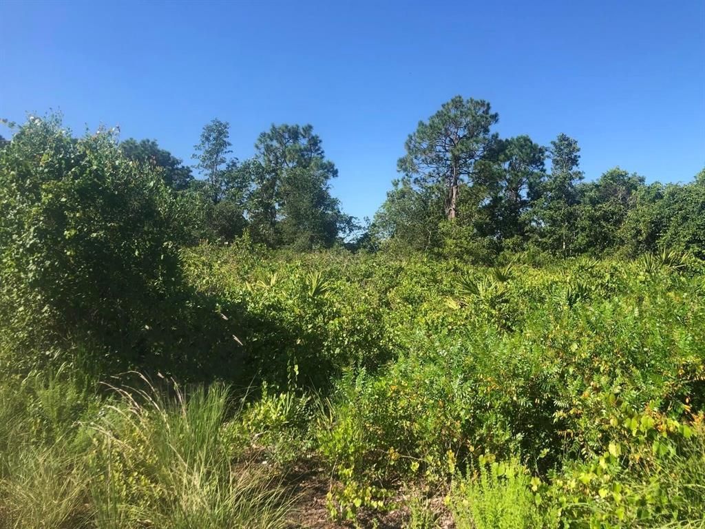 MLS #F10520736 image #0