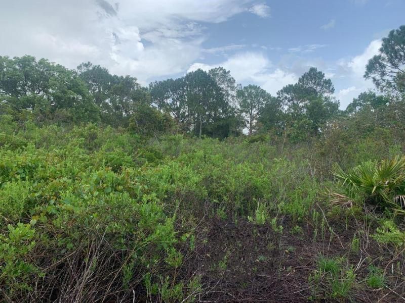 MLS #F10521015 image #0