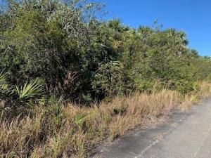 MLS #F10522739 image #0