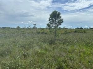 MLS #F10523626 image #0