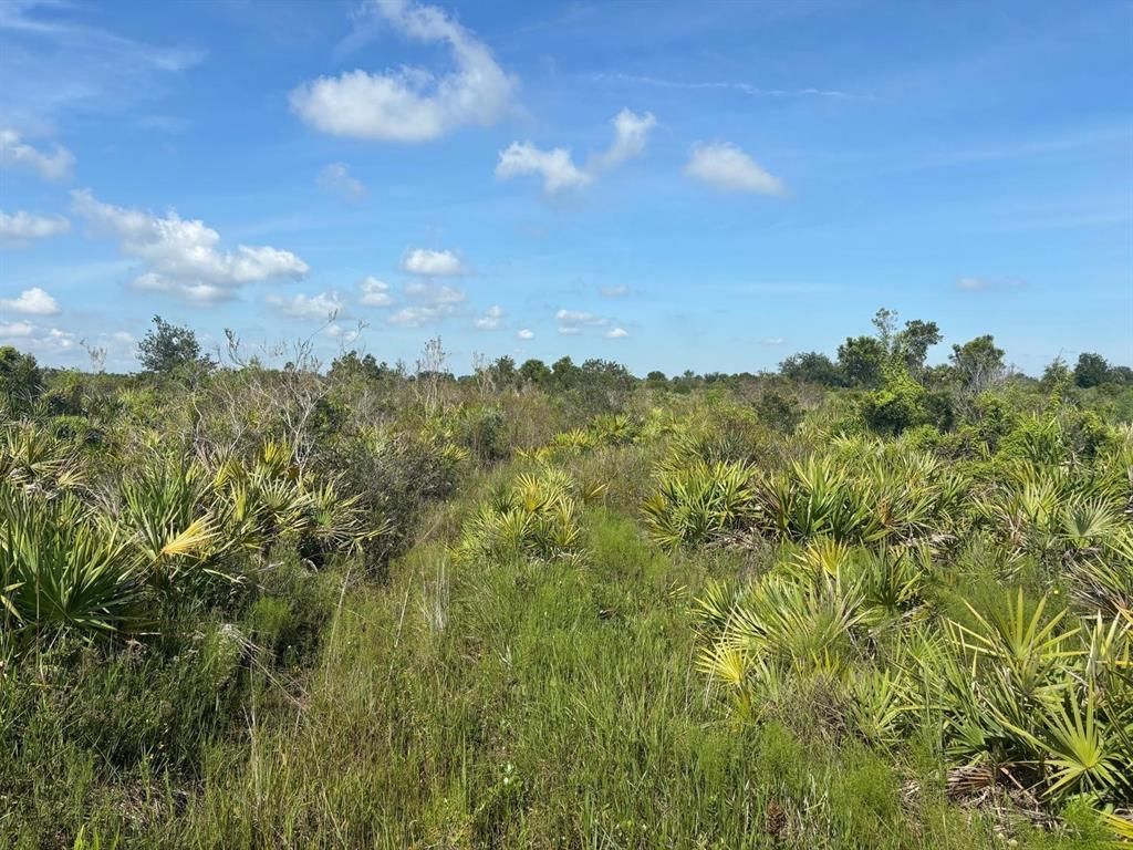 MLS #F10524033 image #0