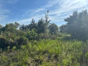 MLS #F10524042 image #0