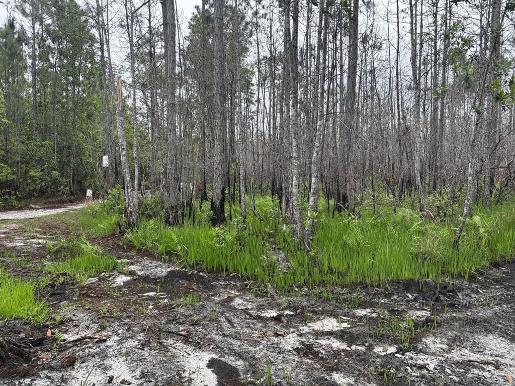 MLS #F10524836 image #0