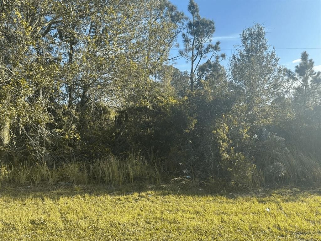 MLS #F10526858 image #0