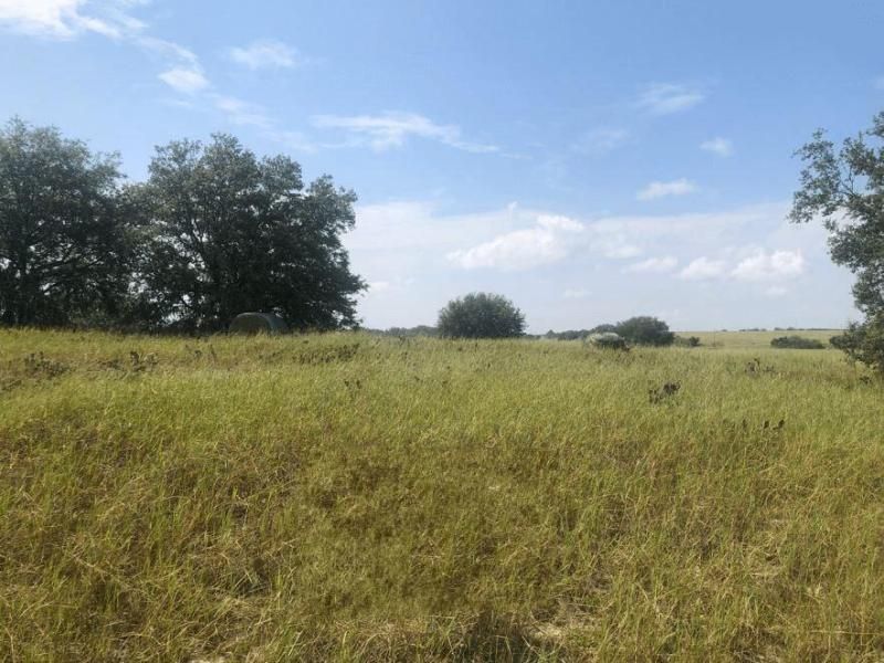 MLS #F10529077 image #0