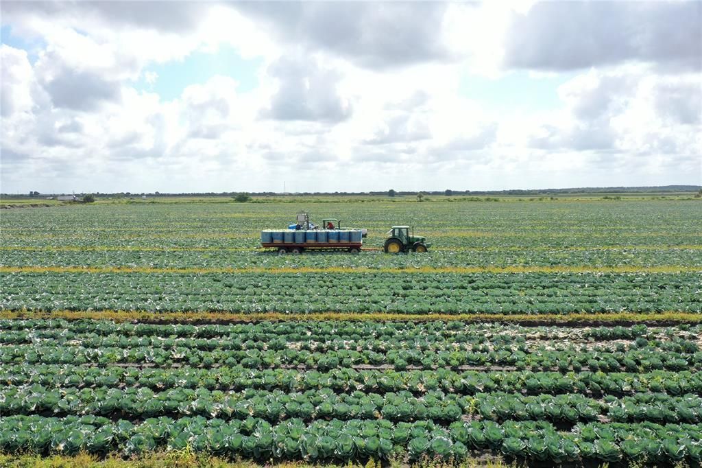 MLS #F10529469 image #0