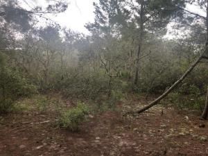 MLS #F10530325 image #0