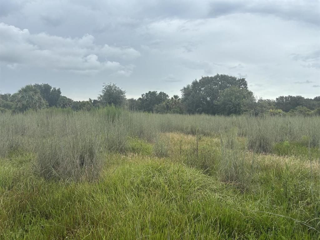 MLS #F10534476 image #0