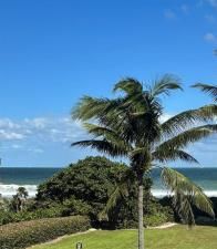 MLS #F10535310 image #0